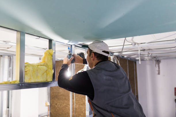 Best Insulation Installation Services in Peotone, IL