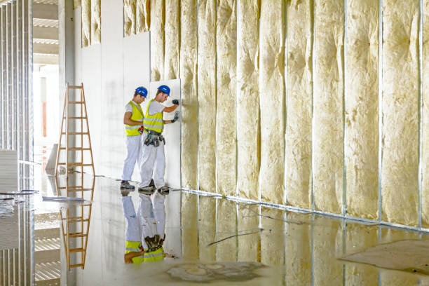 Best Insulation Maintenance and Repair in Peotone, IL